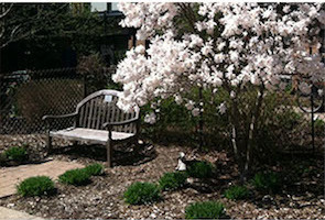 Hillside Terrace community grounds