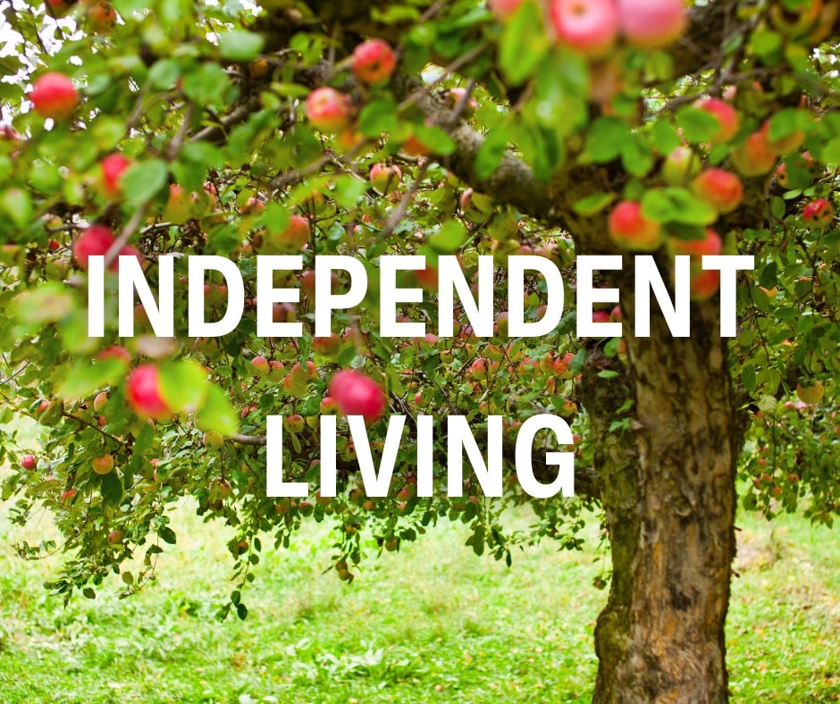 Independent living apartment home at Hillside Terrace