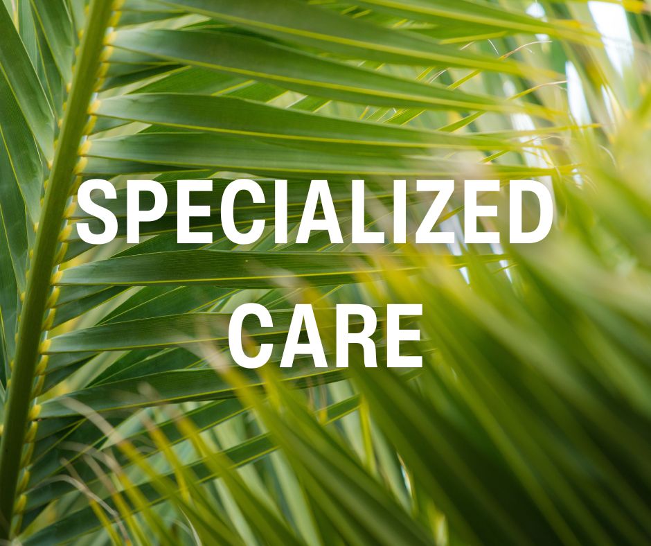 Specialized care at Hillside Terrace